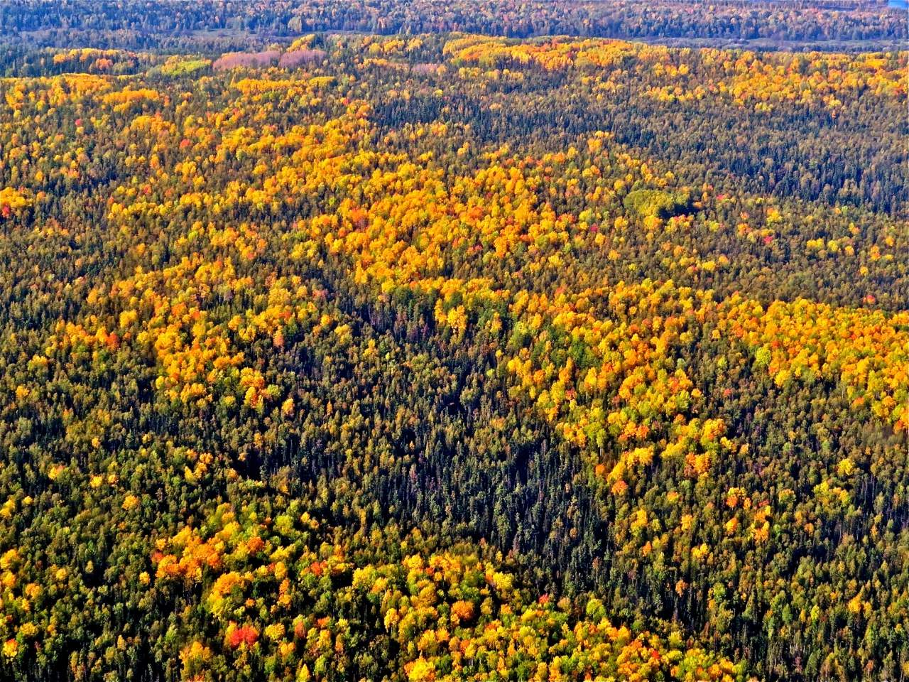 Осенняя разукрашка