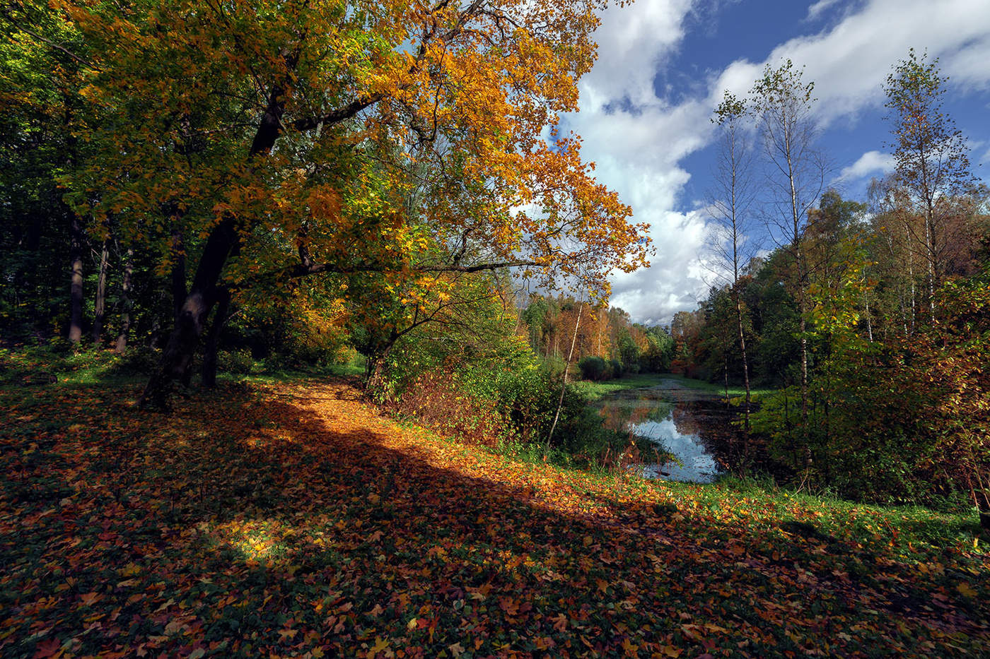 Снова осень закружила карусель мелодий...