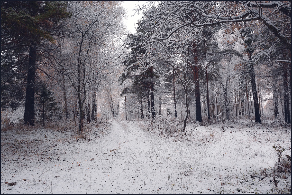 Осенняя разукрашка