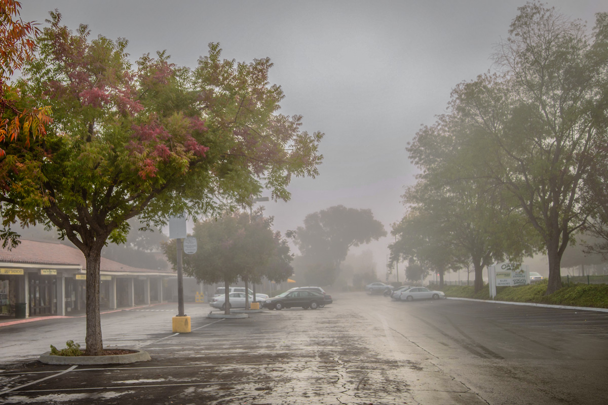 Осенняя разукрашка