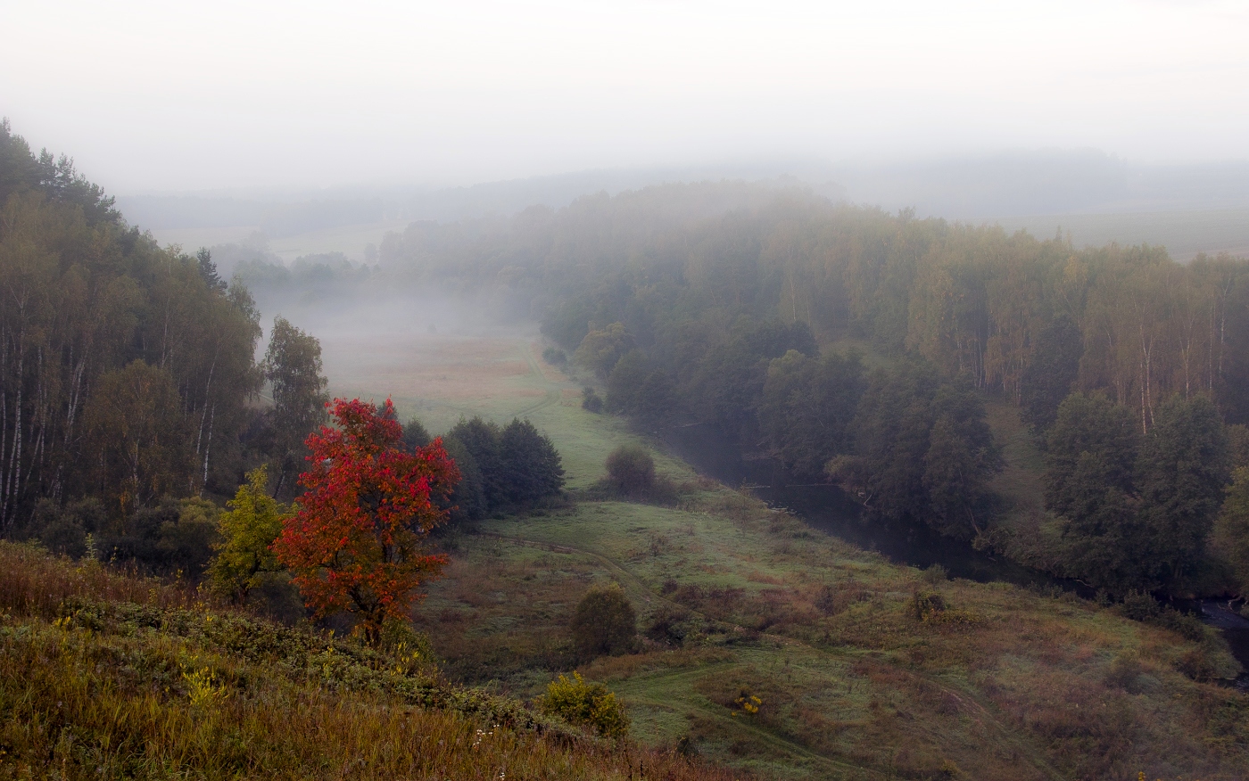 Яркий акцент в тумане