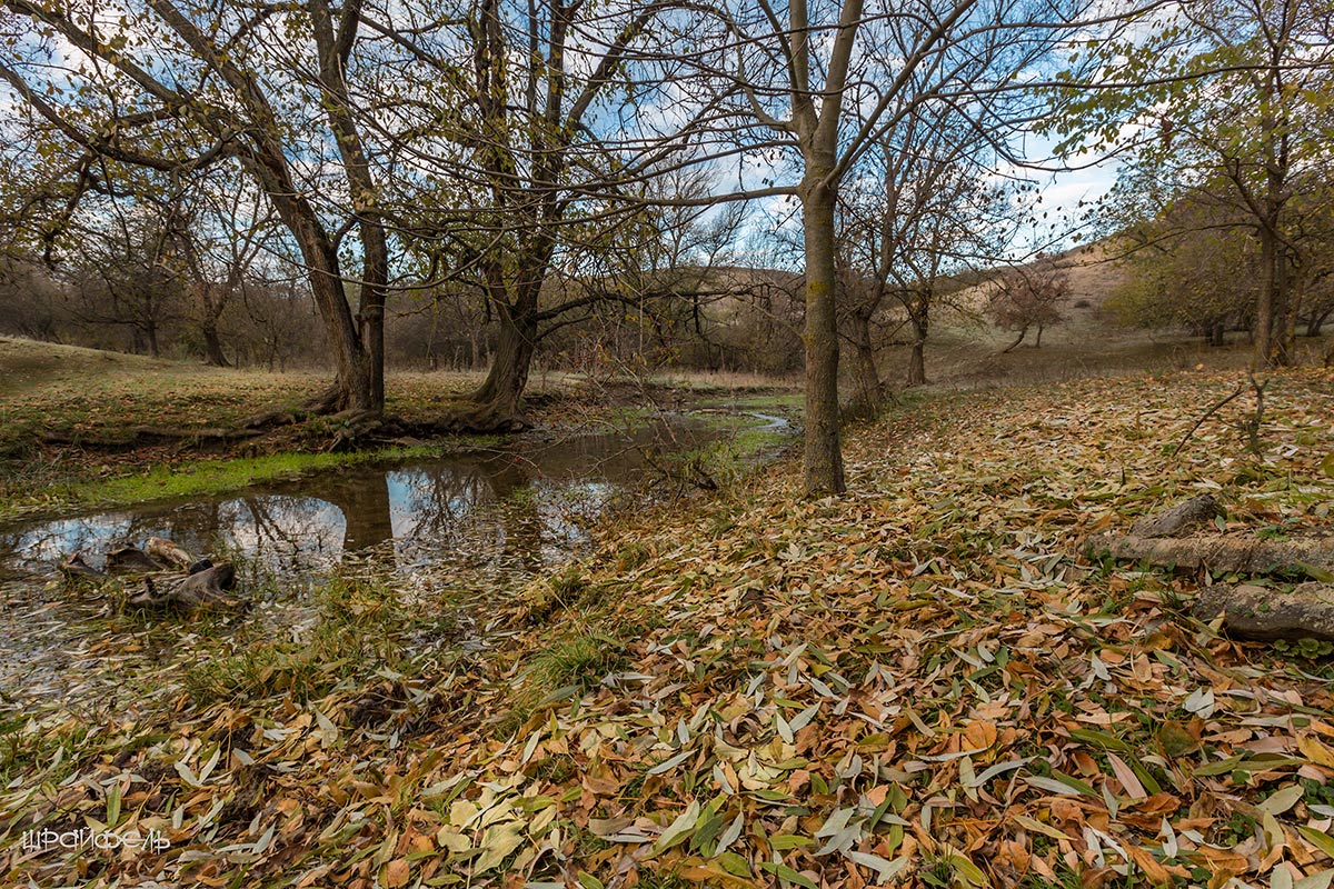 Осень в балке Говейной