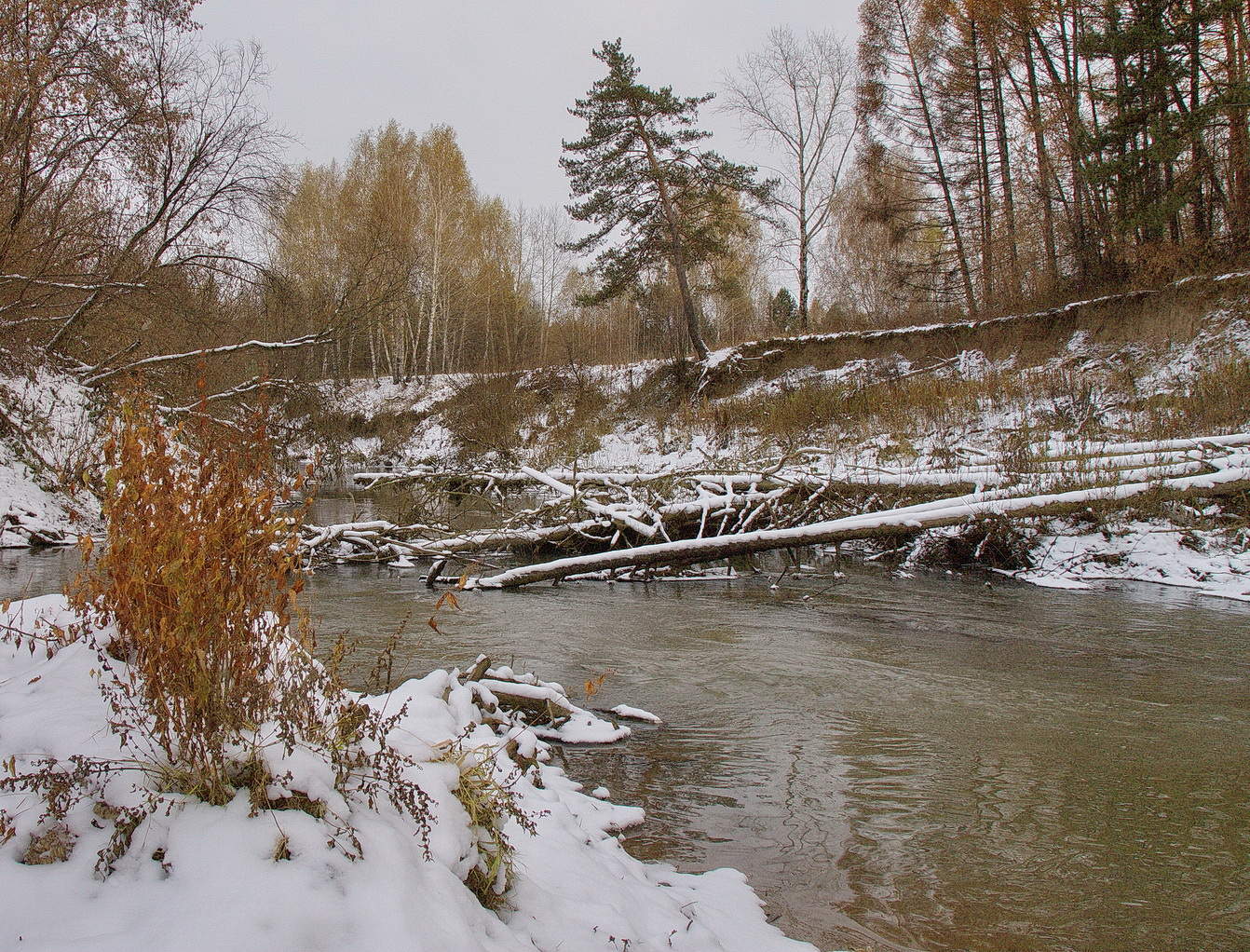 *ЛЕСНАЯ РЕЧКА**