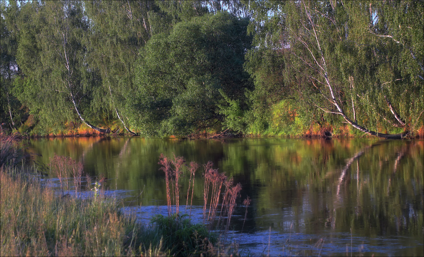 Отражения весеннего утра