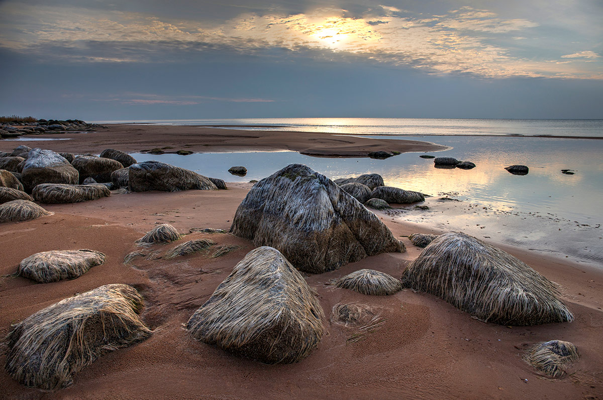 Берег седых камней