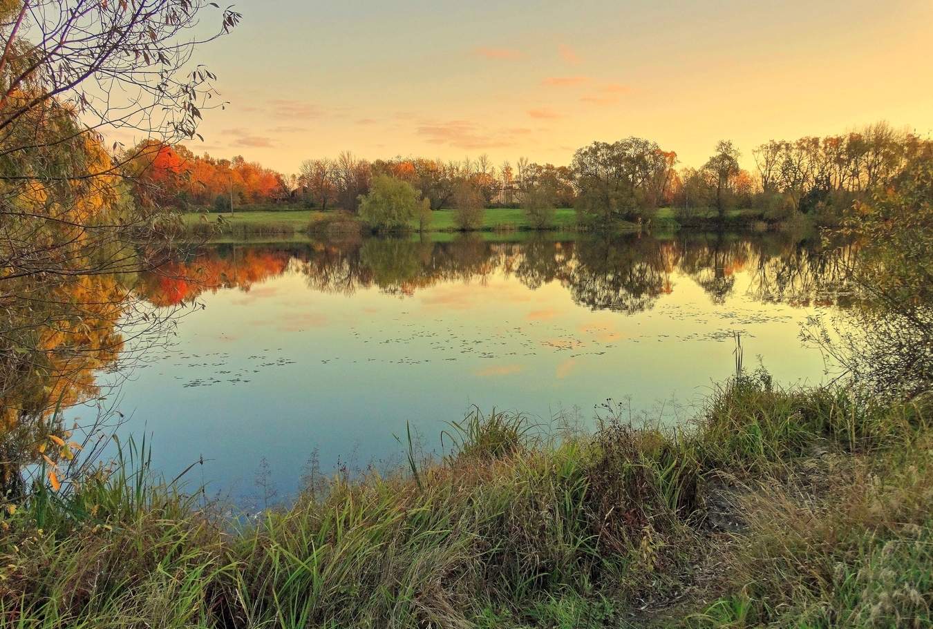 Краски осеннего пруда