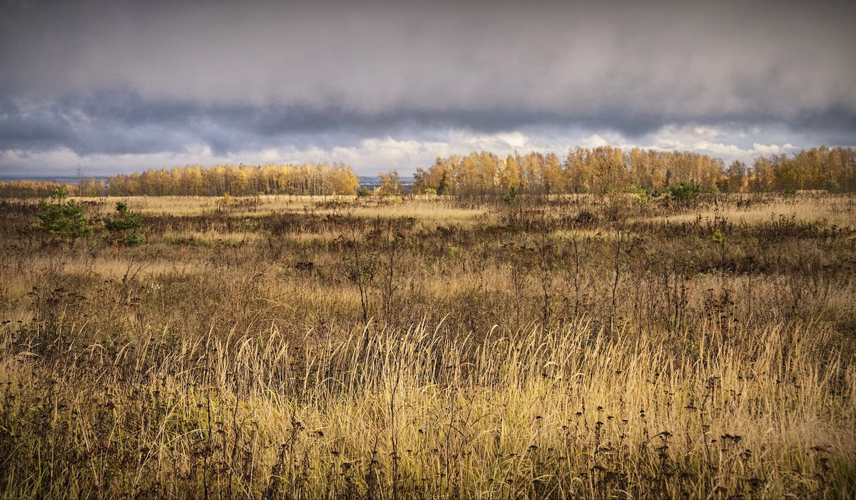Оттенки осени