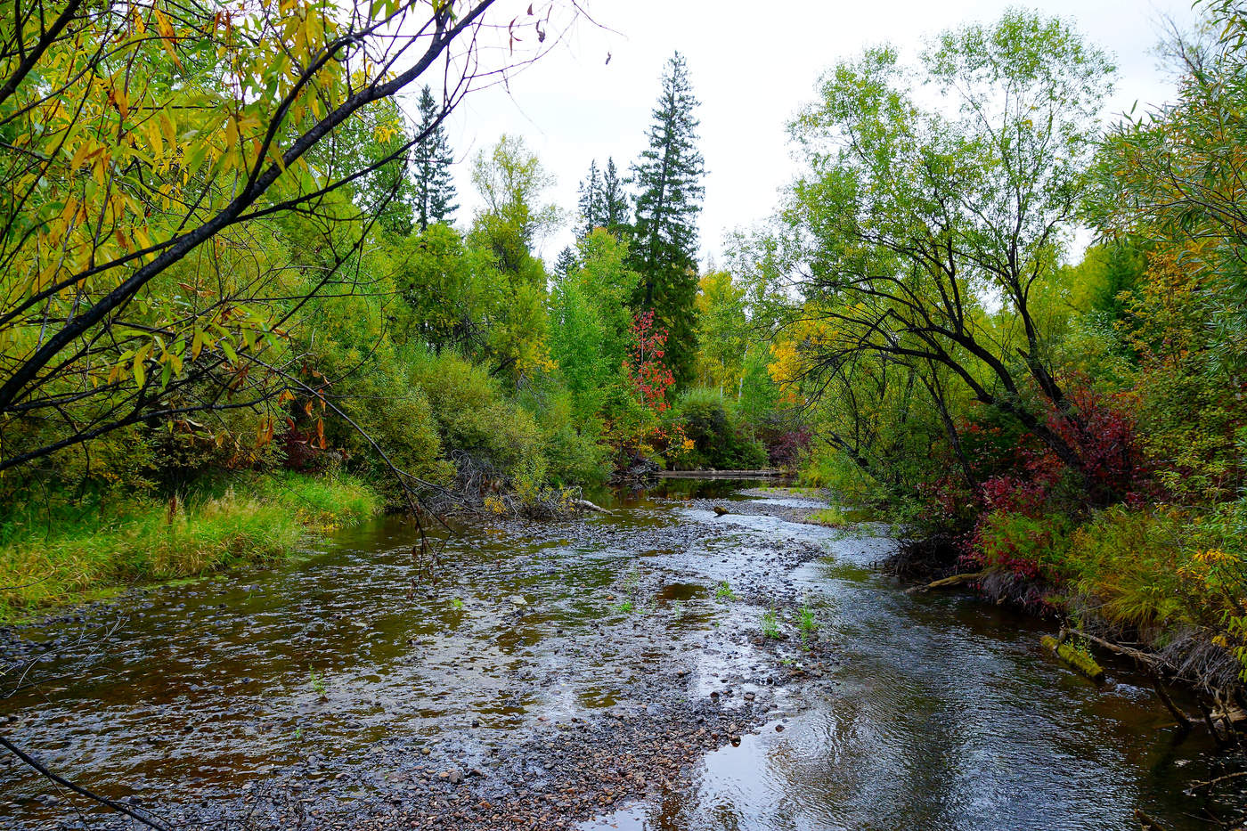 Таежная осень
