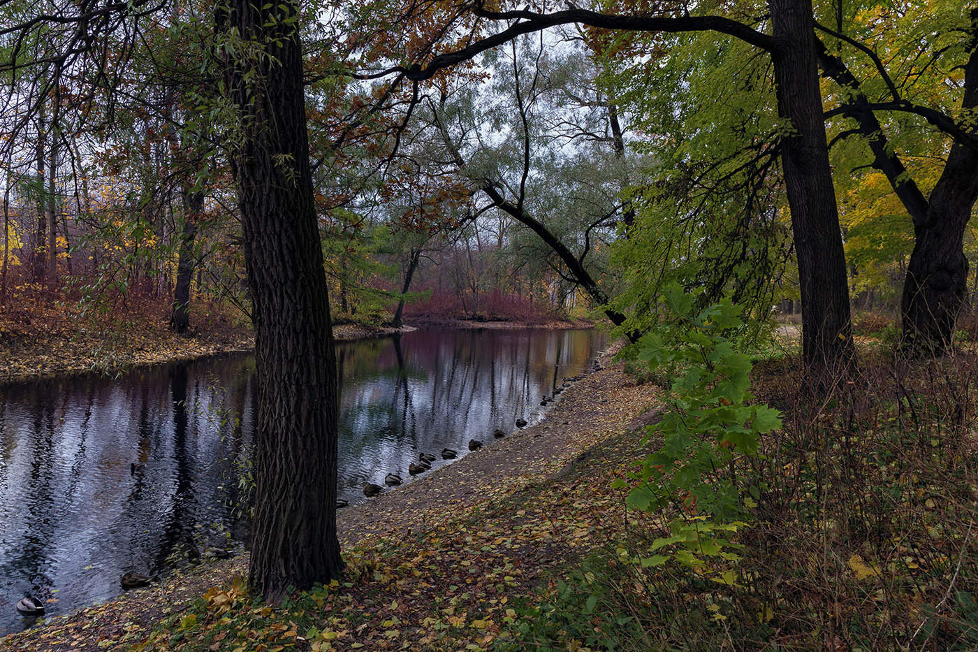 Поздняя осень...