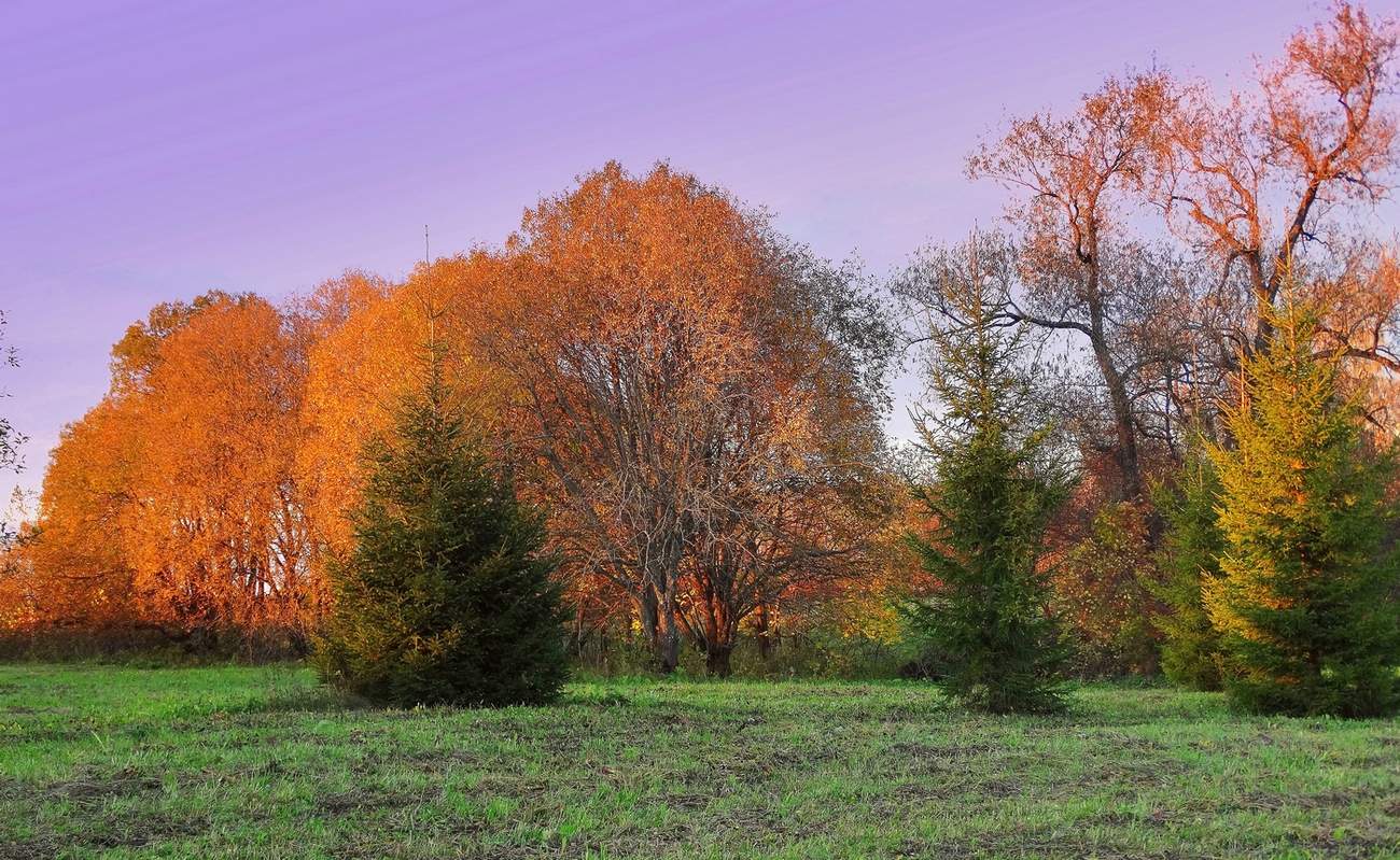 Осень, октябрь