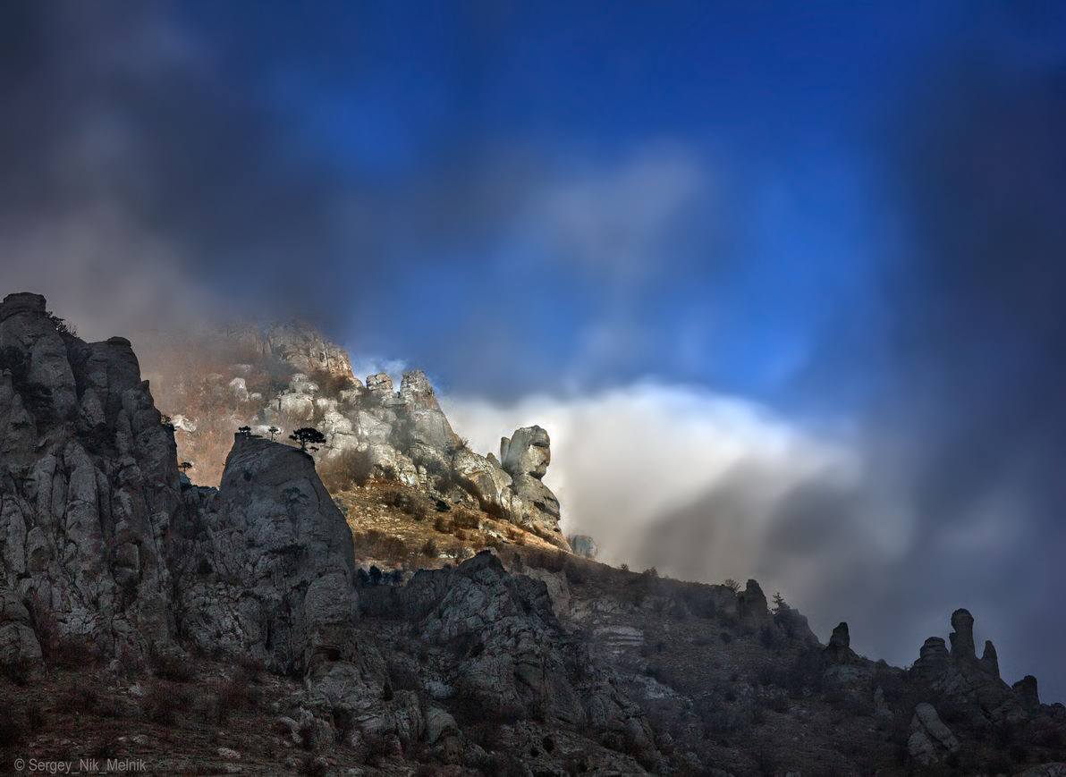 Портрет Екатерины