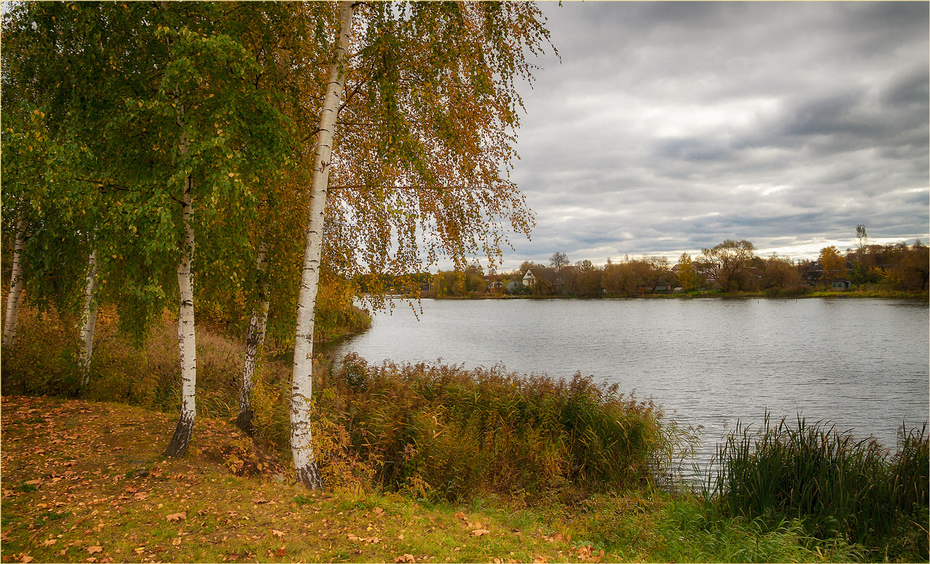 Про белые березки