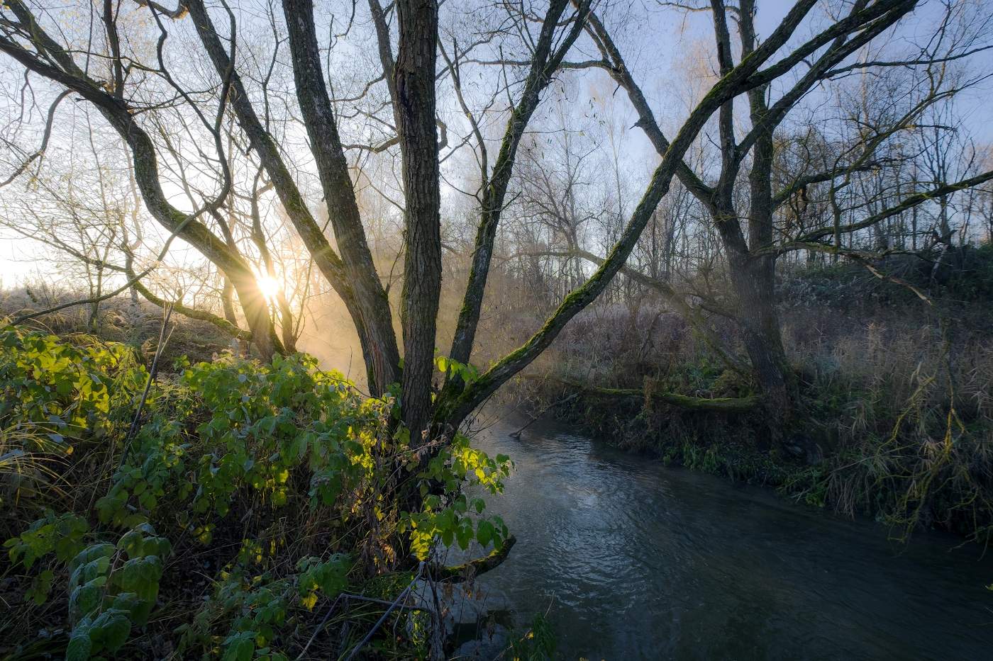 В золотых лучах октябрьского утра