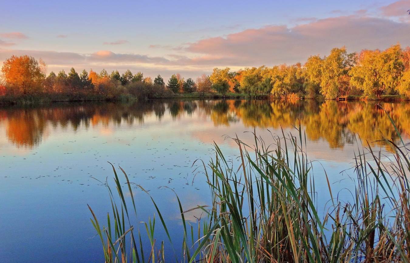 Красочный октябрь