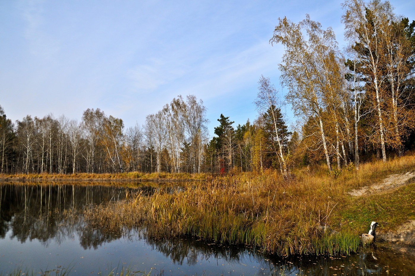 Осенняя зарисовка.