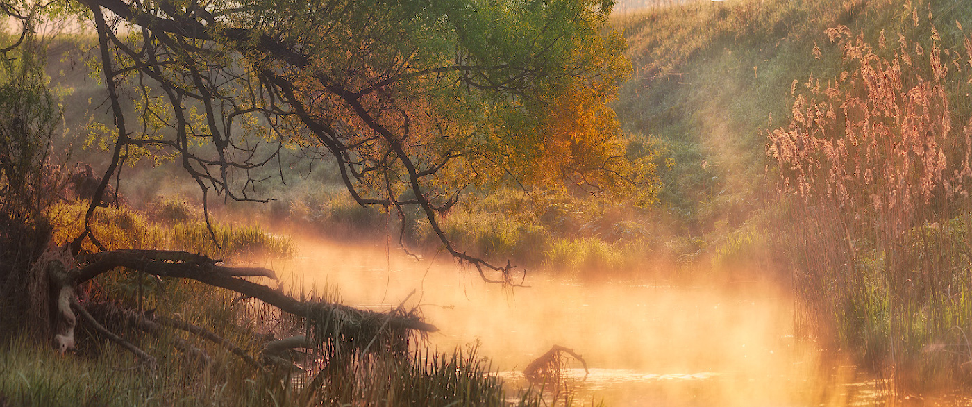 Волшебство утренней зари