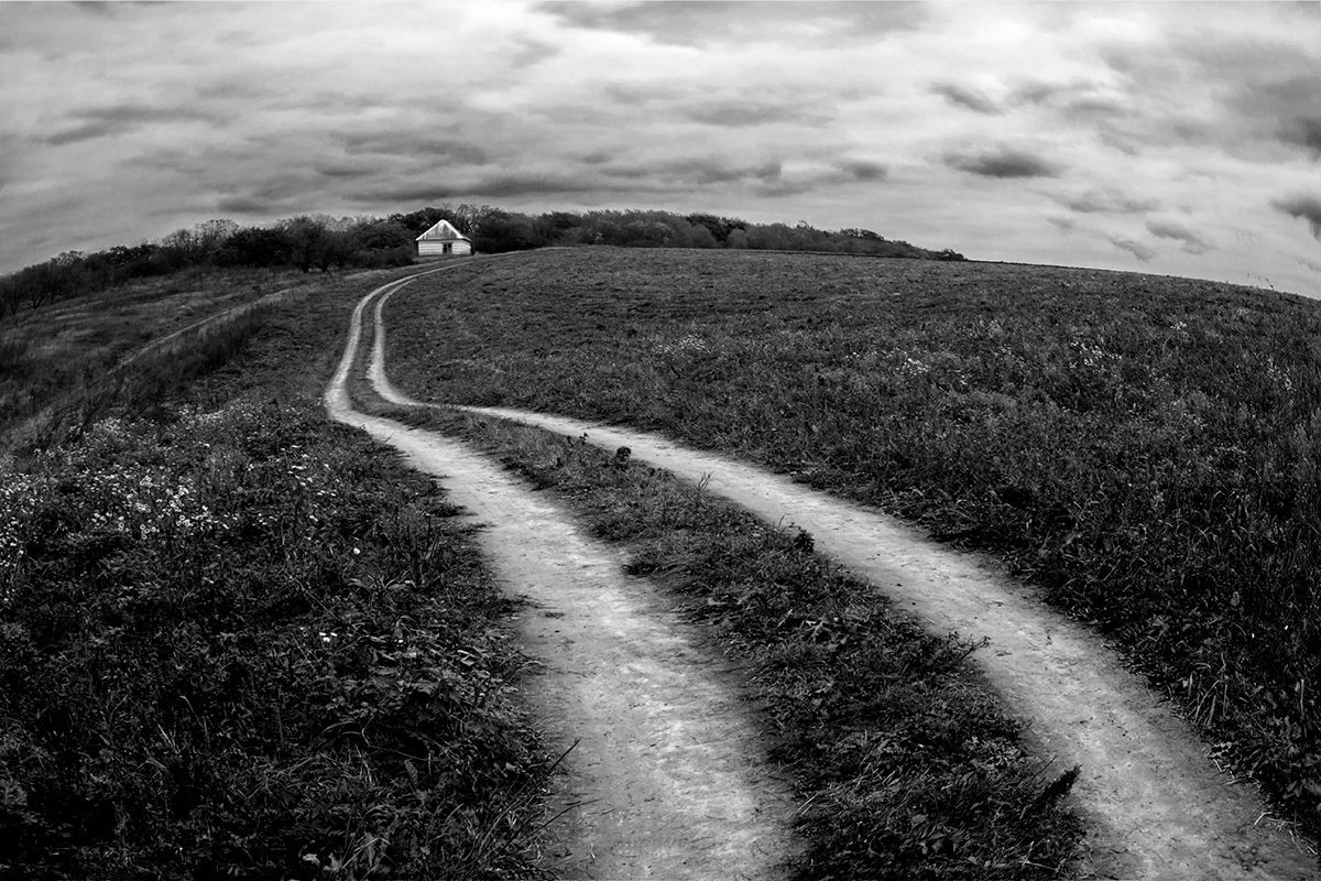 Вот новый поворот