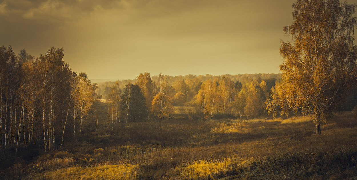 Осеннее утро.