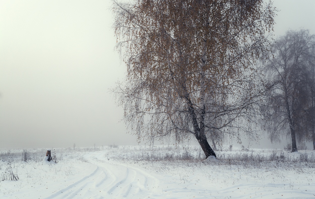 Осень глазами зимы.
