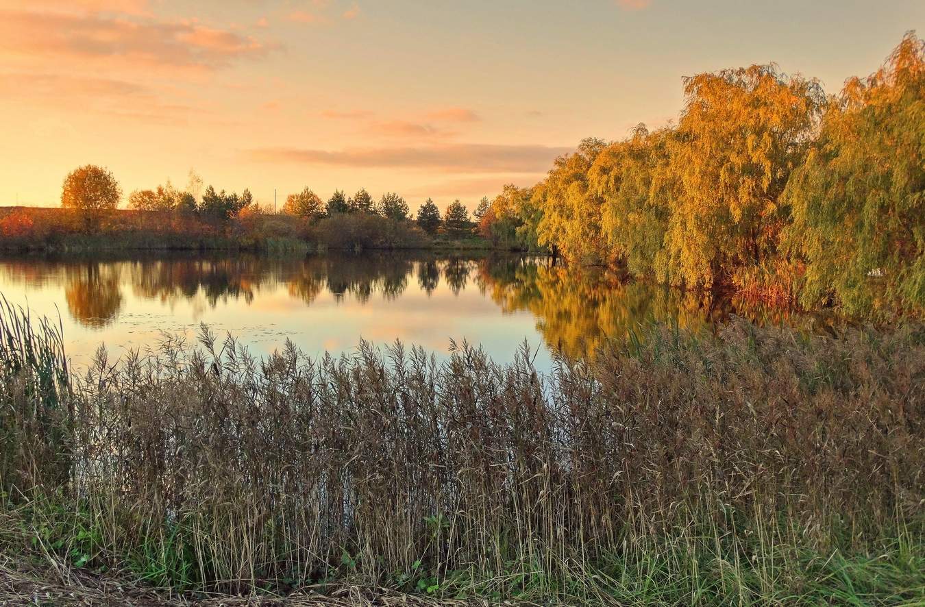 Пруд в октябре