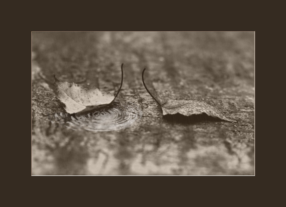 Дождь для двоих...