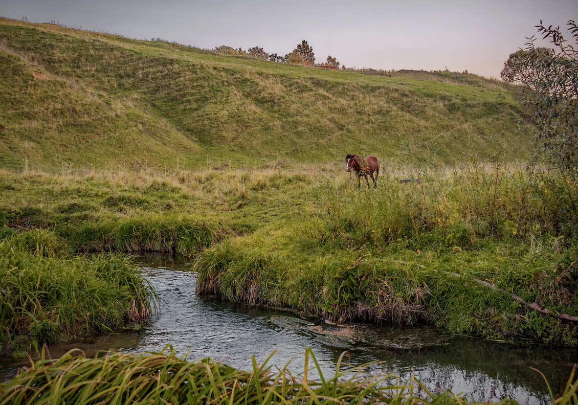 Идиллия - рядом