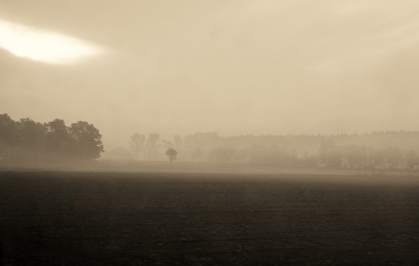 Утренний час ...