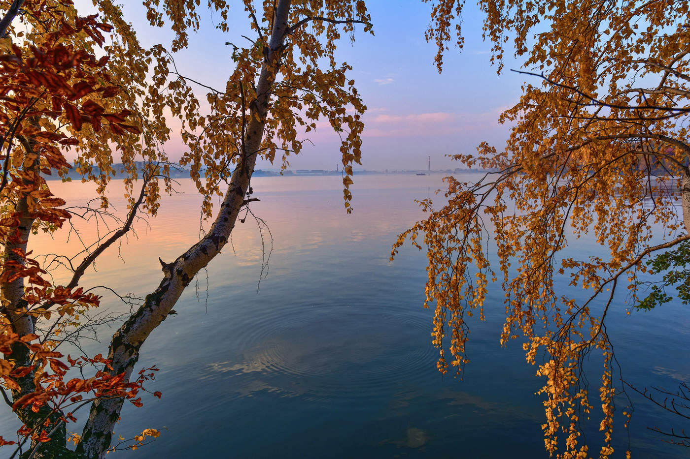 Осенняя палитра