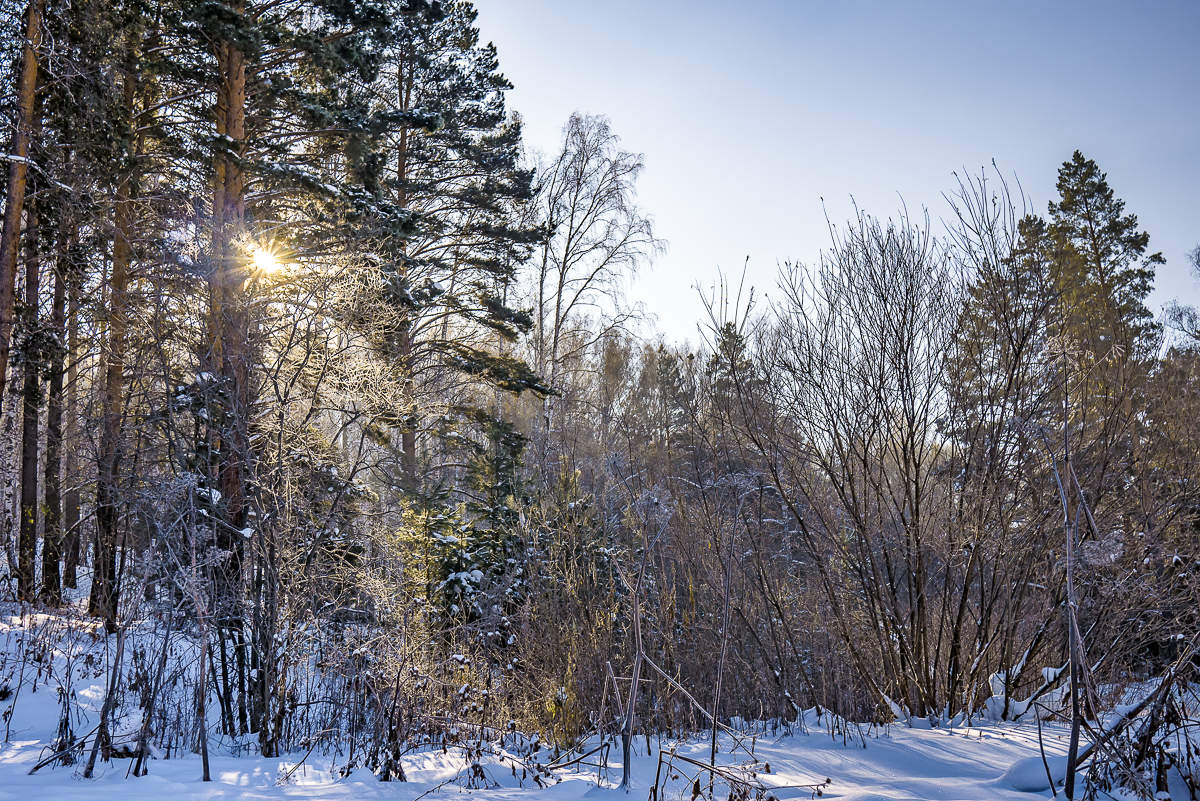зима пришла