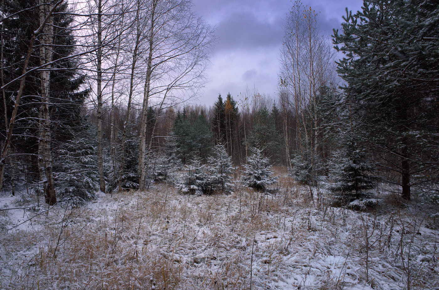 первый снег