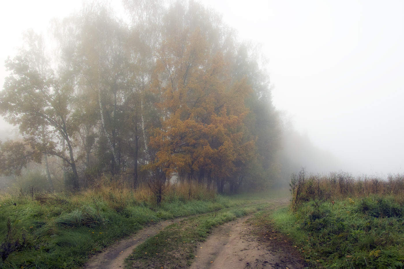 Туманными дорогами осени