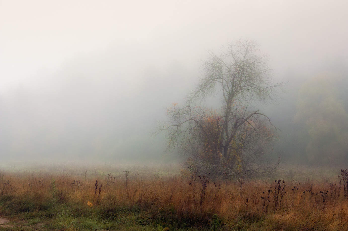 Призрачно всё