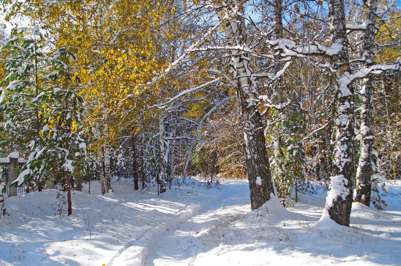 зиме уж невтерпеж!