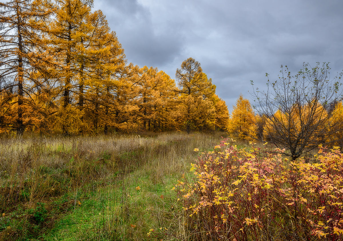 Про осень...