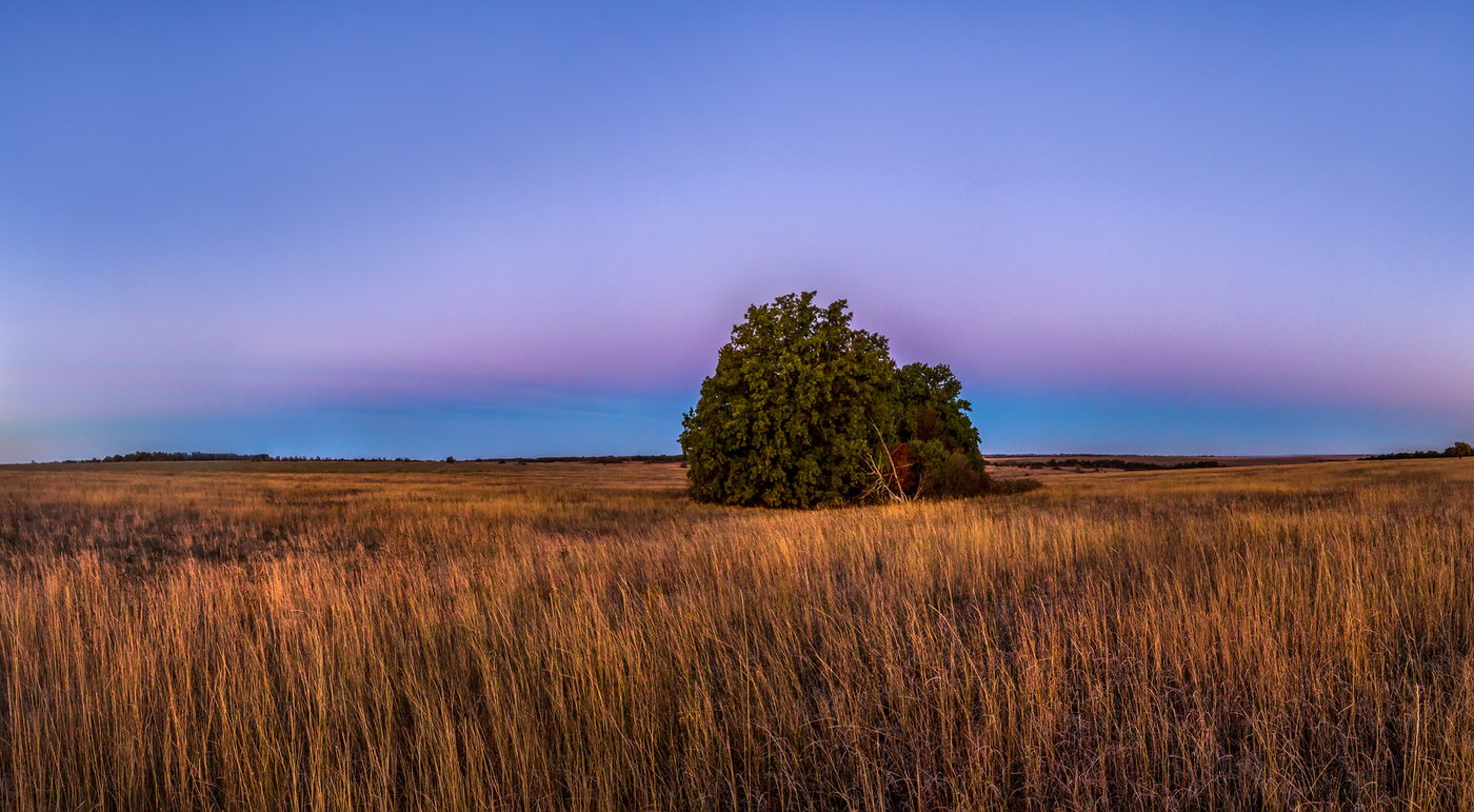 Заря в стрелецкой степи
