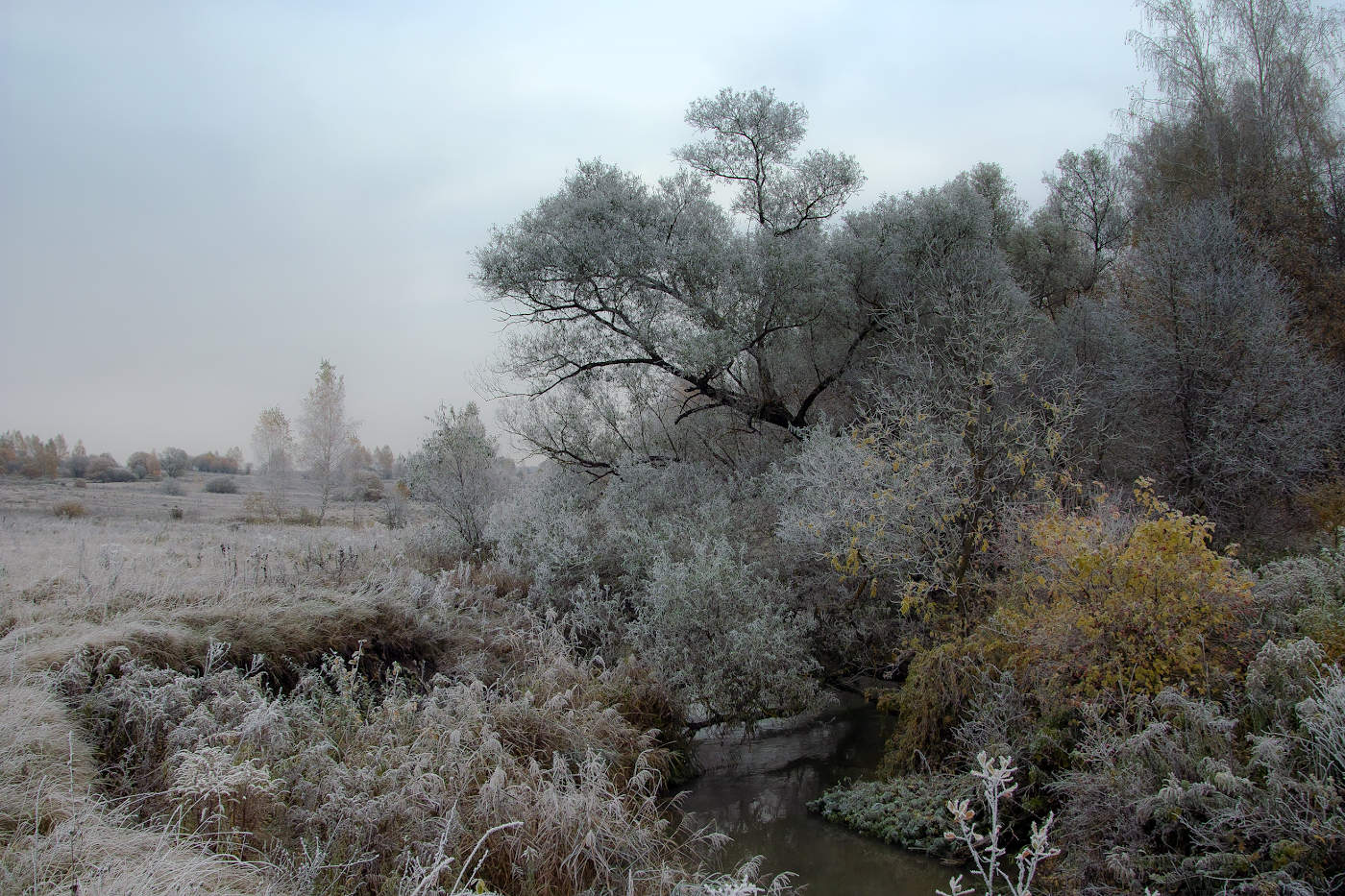Рассветный иней октября