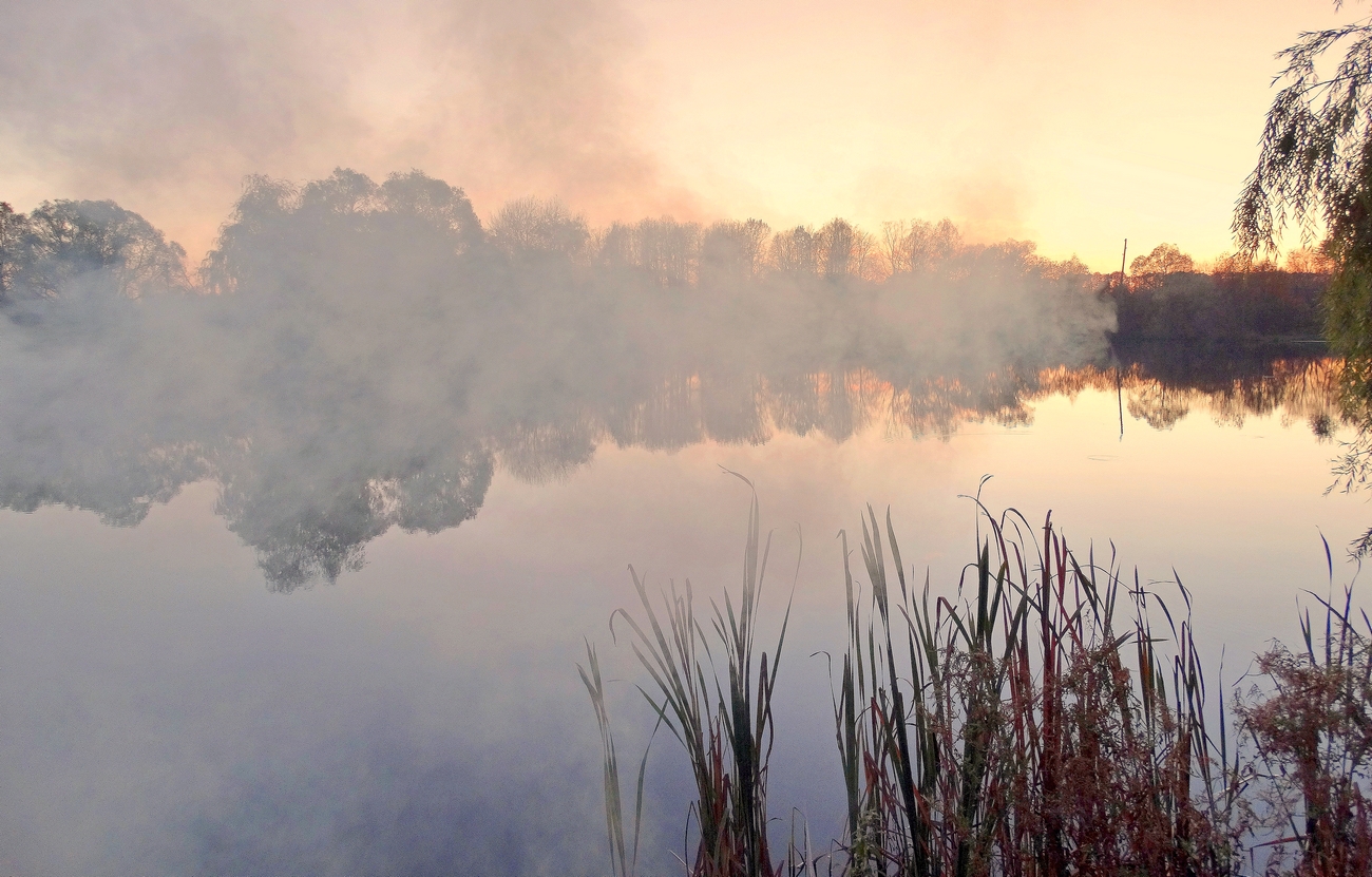 Заволокло дымом