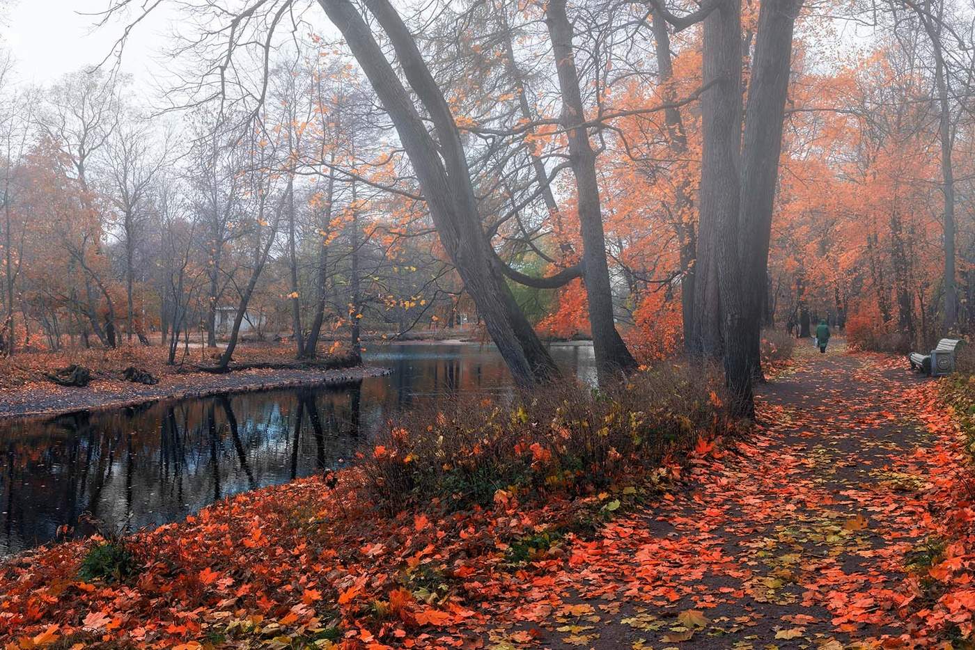 Осеннее одиночество...