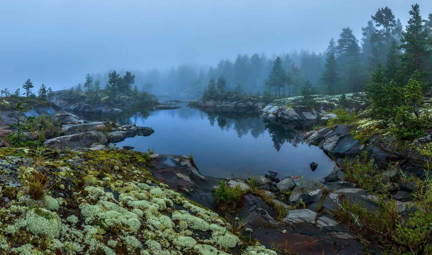 Цвет пасмурного утра