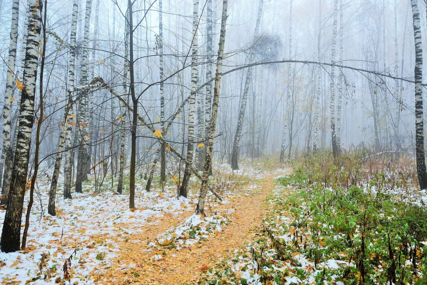 Немного осенней грусти ...