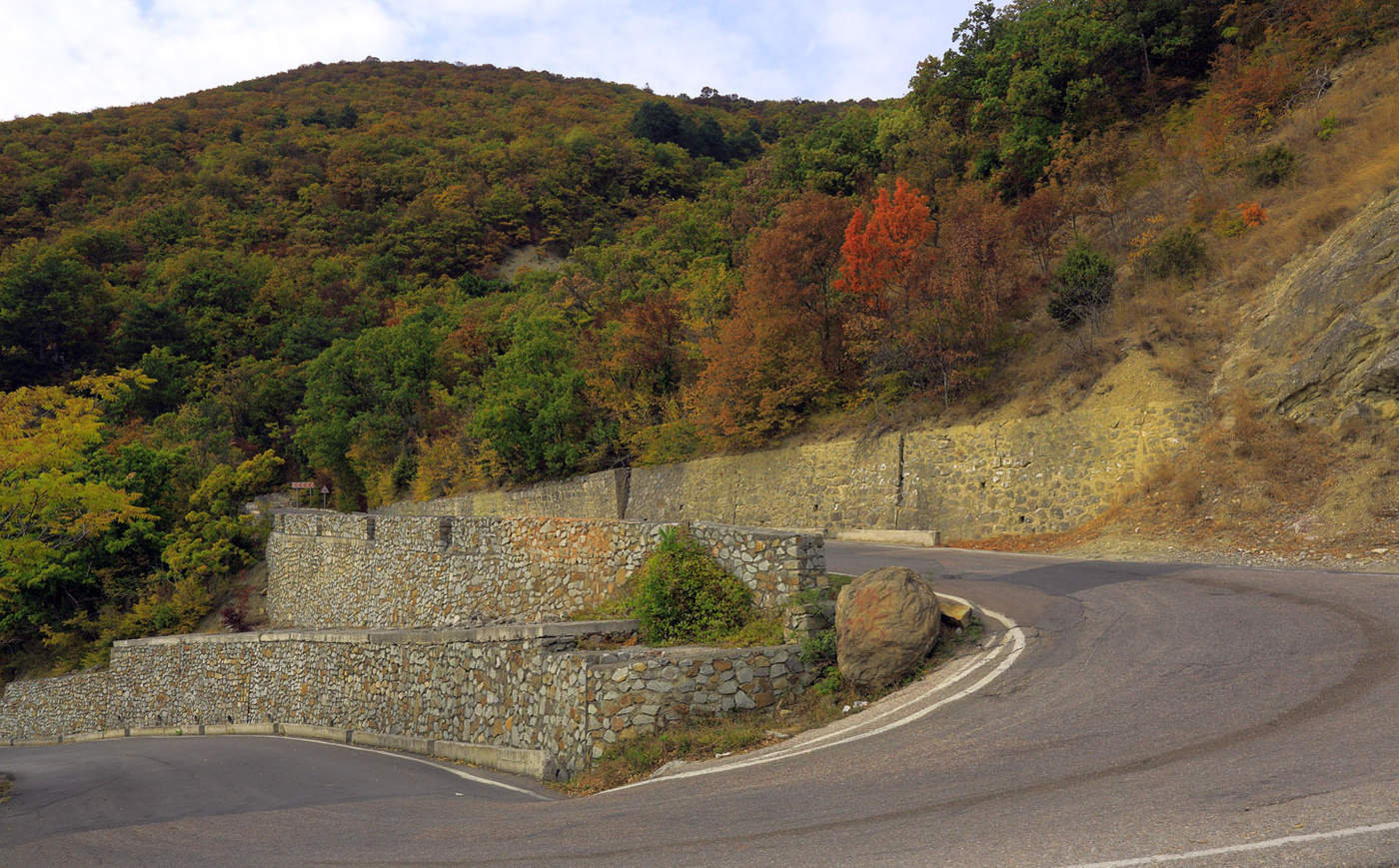 Вот новый поворот