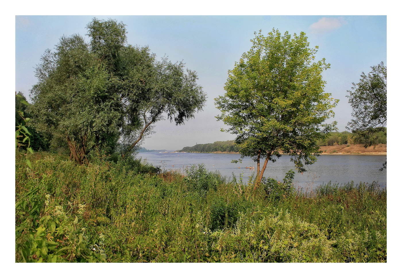 Окский пейзаж