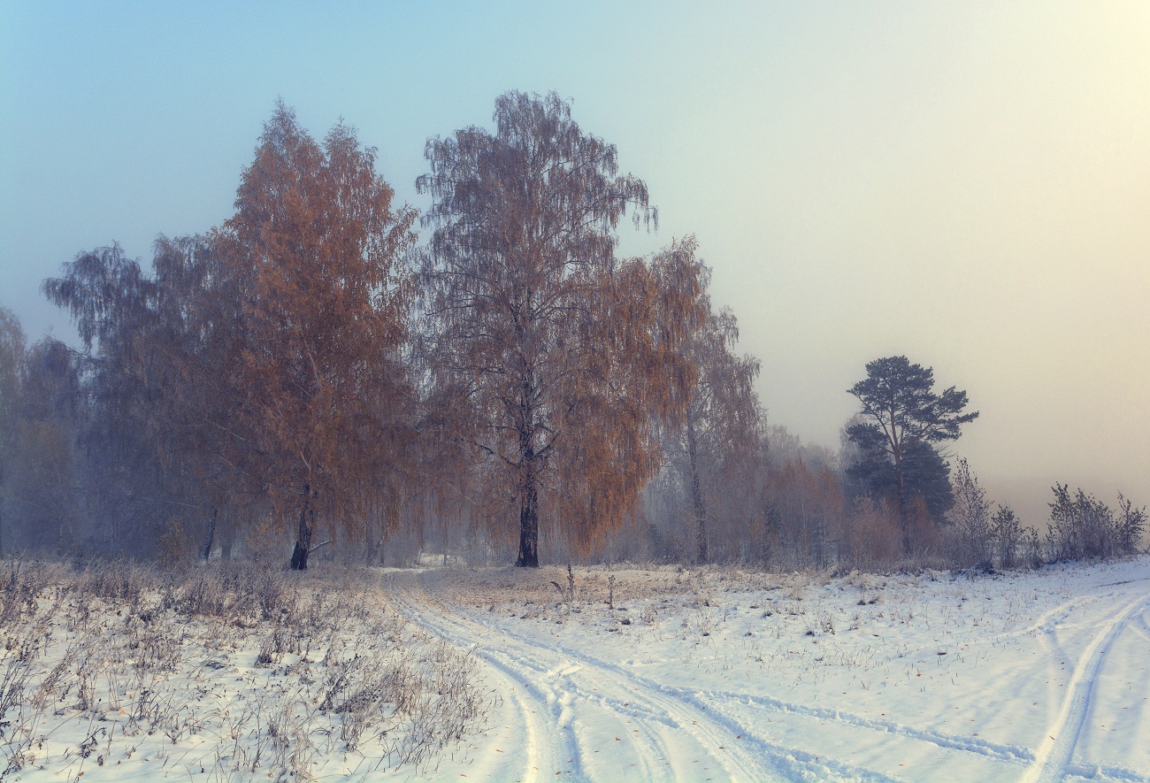 Запах зимы.(2)