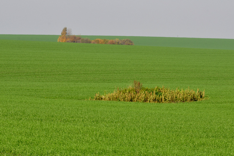 Возможно это был мираж