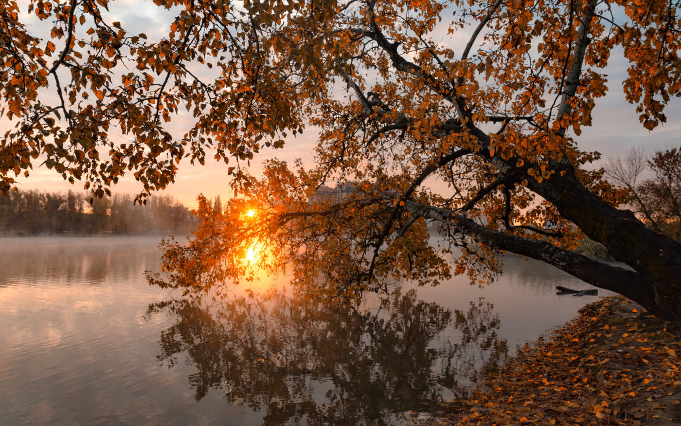 Восход солнца на Солнечном острове