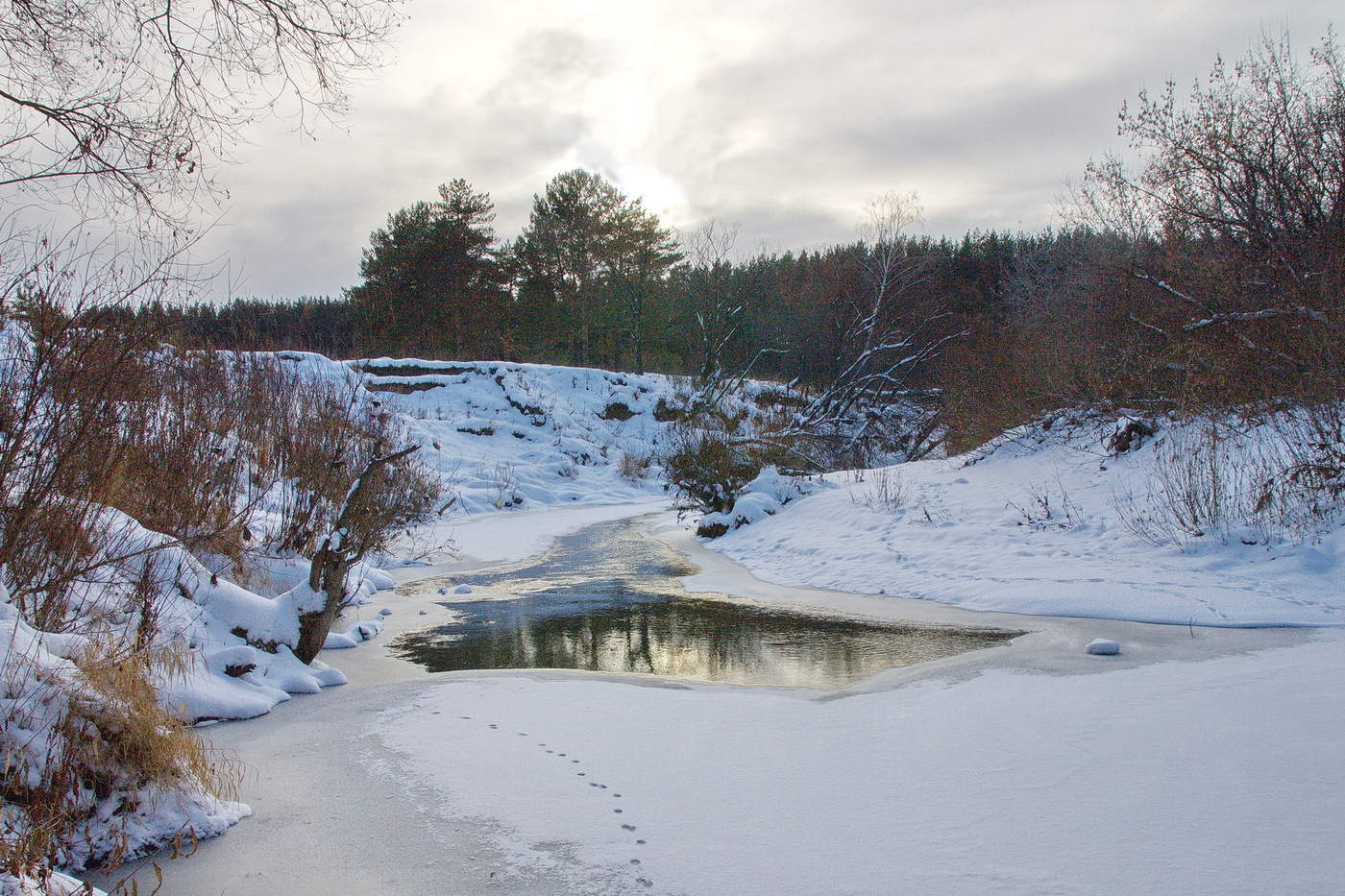 НОЯБРЬСКИЕ СУМЕРКИ.**