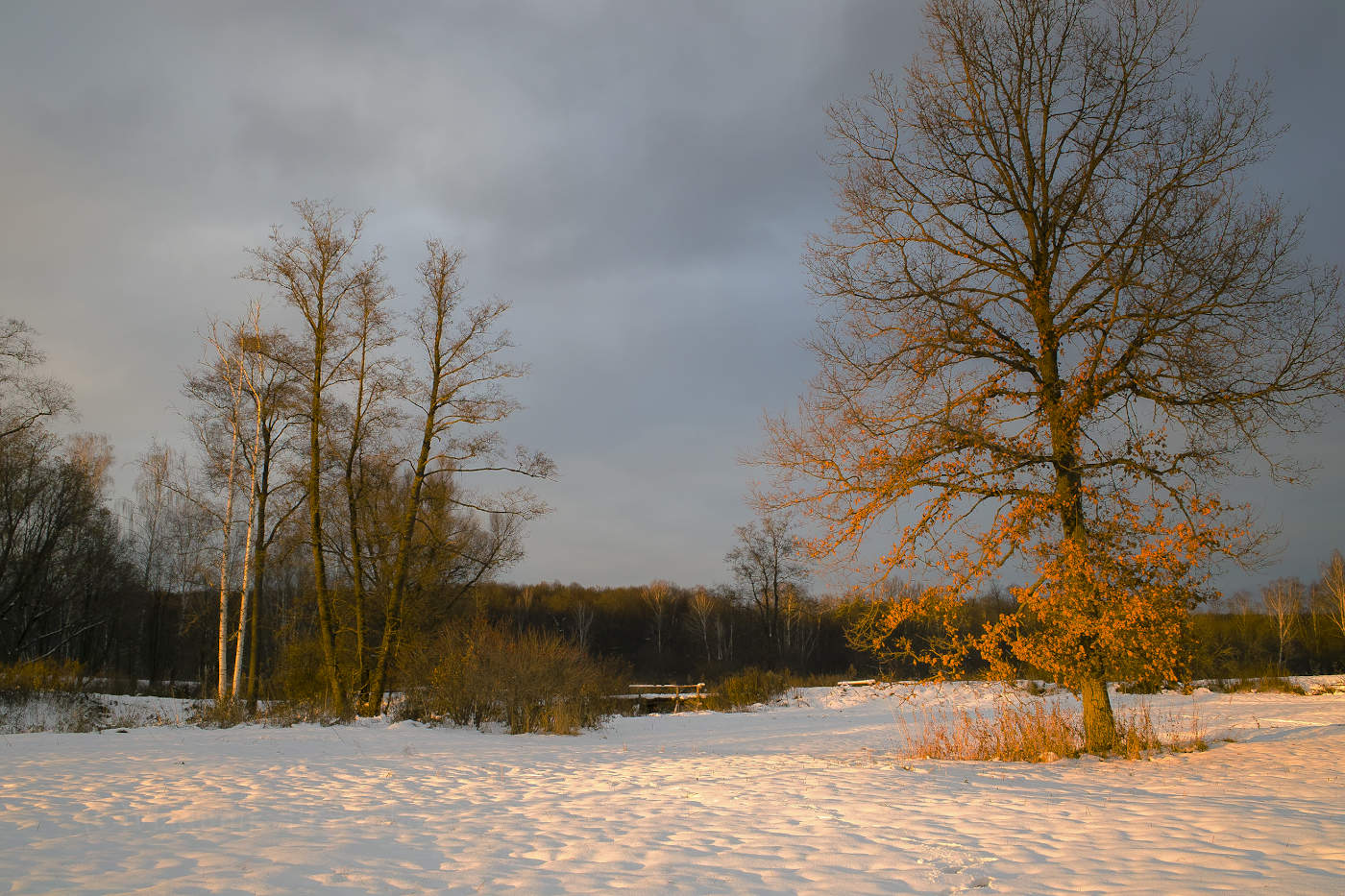 Свет заходящего солнца