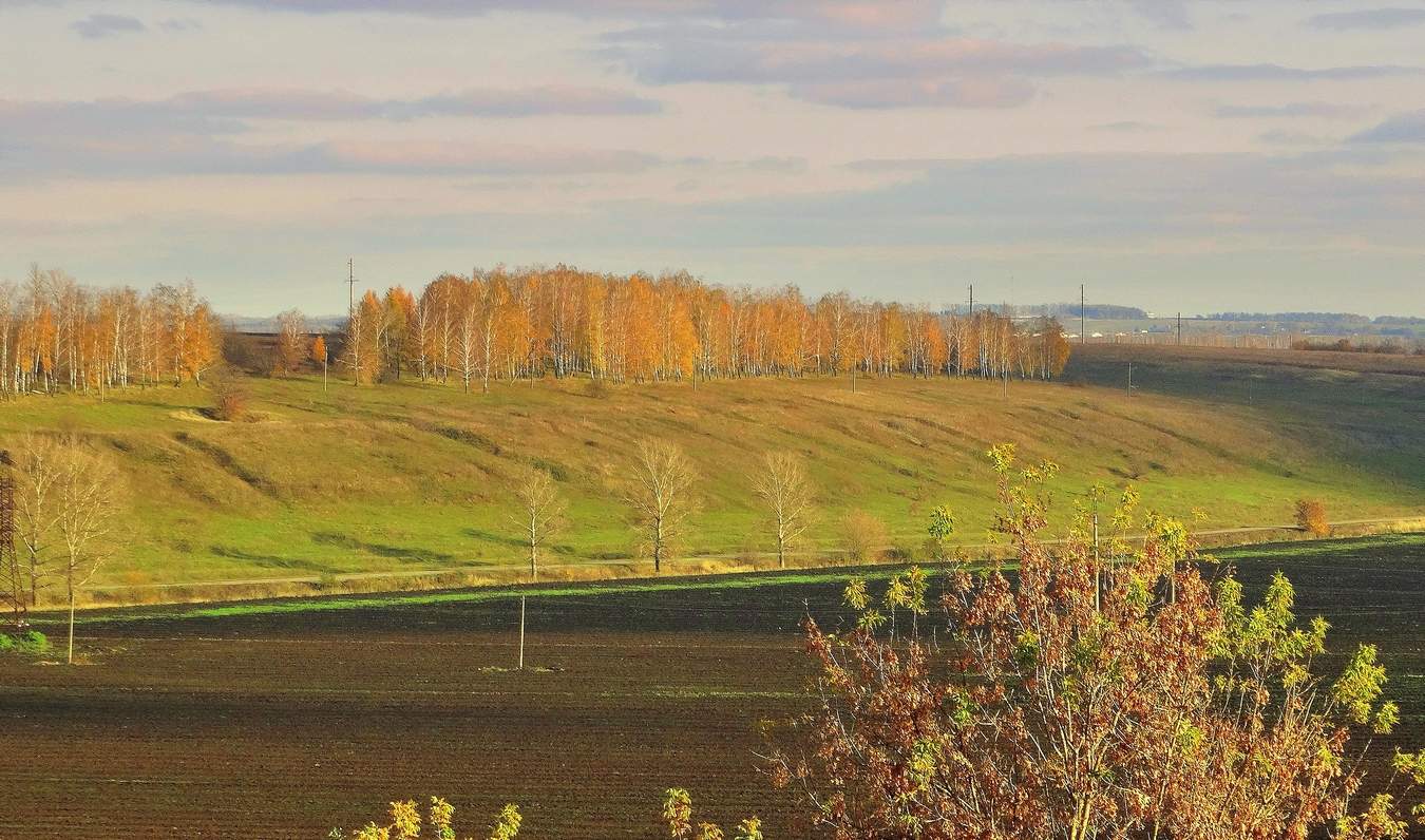 Осенние дали