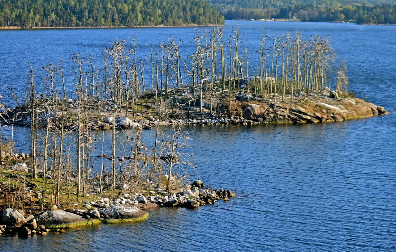 Птичьи острова