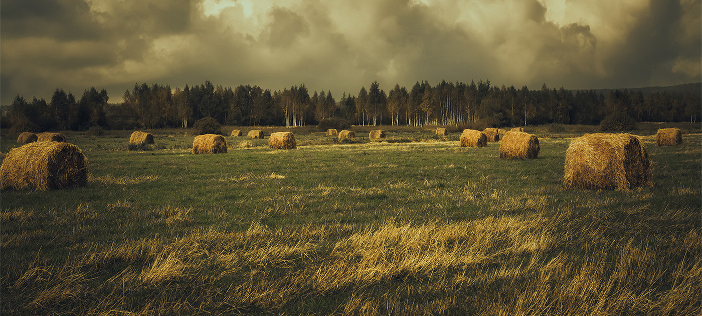 Осенний пейзаж.